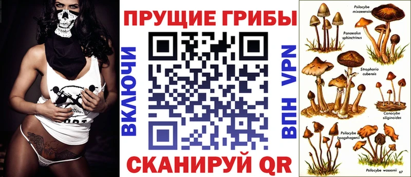 купить  цена  Мензелинск  Псилоцибиновые грибы MAGIC MUSHROOMS 